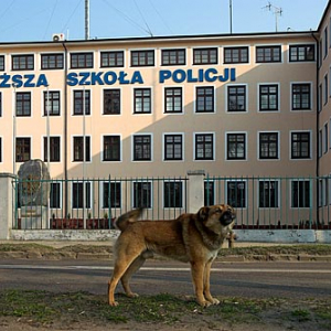 Wyższa Szkoła Policji w Szczytnie